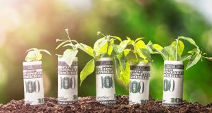 The Green Rush: Sustainable Investing Takes Center Stage in Global Capital Markets