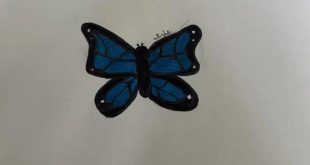 Let's Draw a Beautiful Butterfly! 🦋