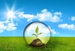 A Green Revolution: Sustainable Investing Takes Center Stage in Global Markets