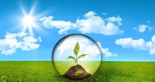 A Green Revolution: Sustainable Investing Takes Center Stage in Global Markets