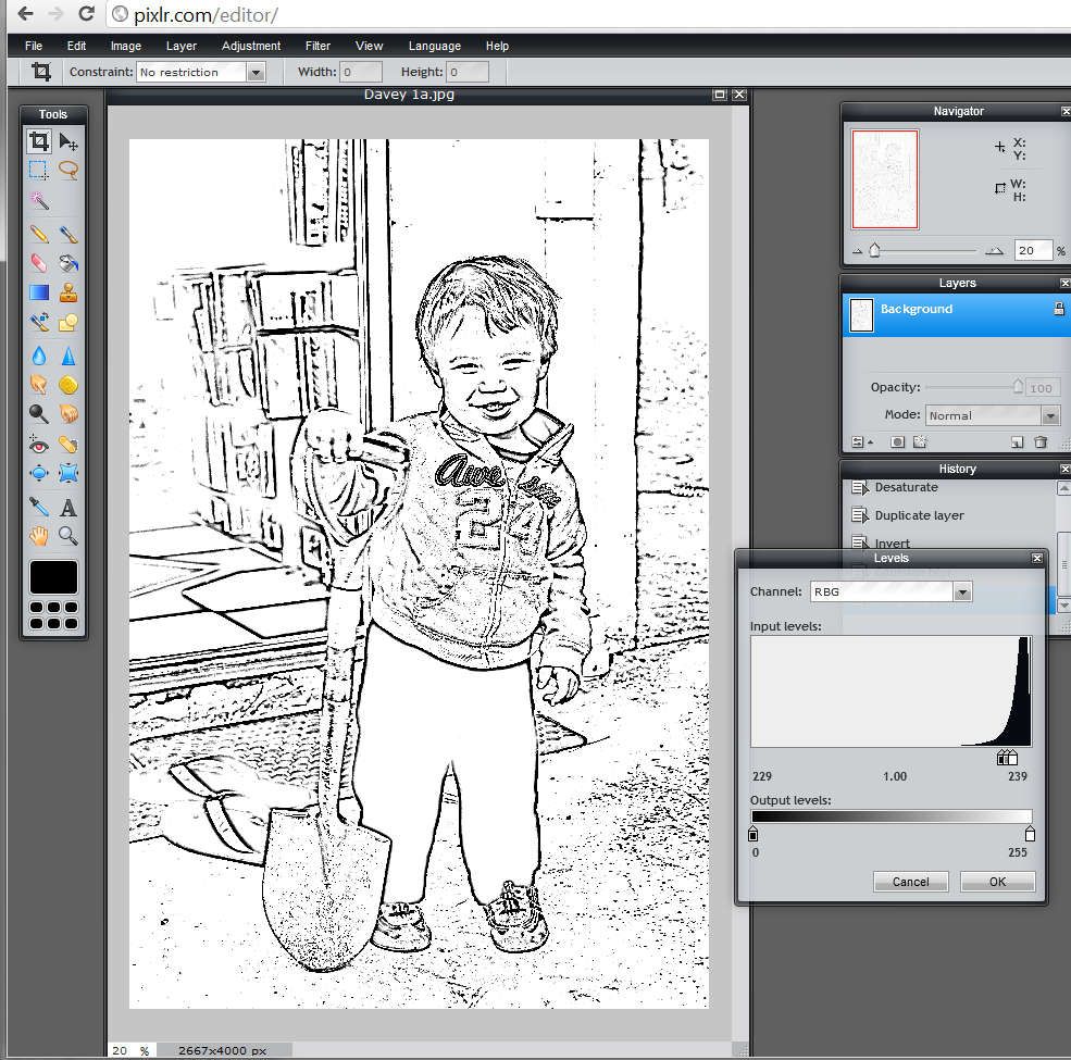 Turning Images into Coloring Pages: A Fun Journey for Little Artists!