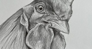 Unleash Your Inner Artist: A Beginner's Guide to Drawing Animals