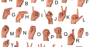 Let's Draw the Alphabet in Sign Language!