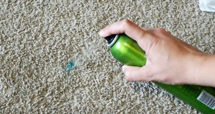 how to get permanent marker off of carpet