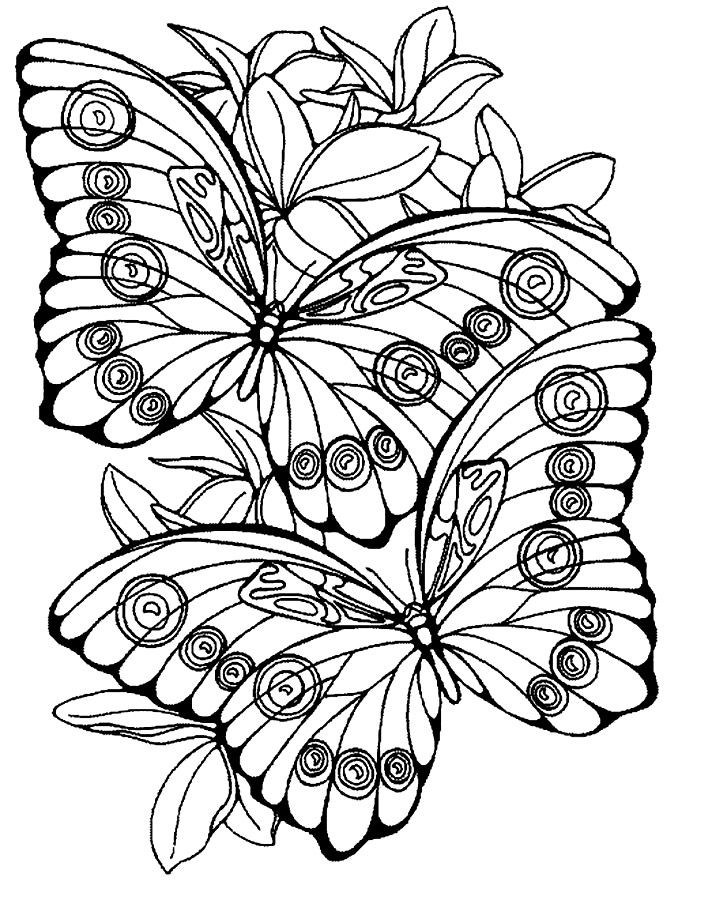 large coloring pages