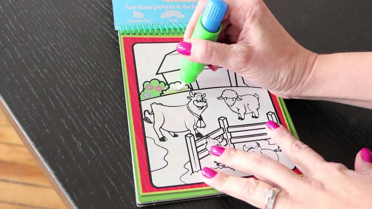 Welcome to the No-Mess Coloring Book Adventure!