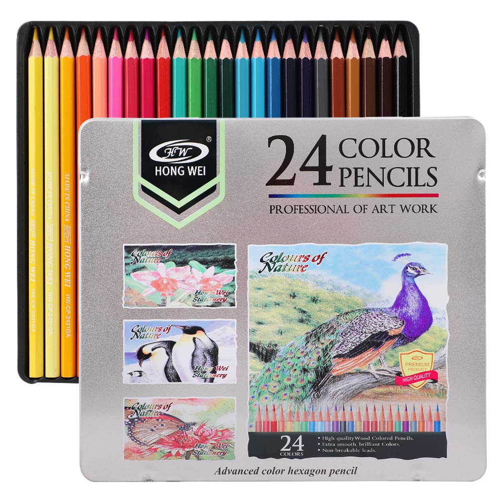 Let's Draw! Adventures with 24 Colored Pencils 🎨