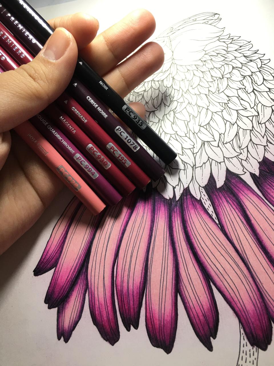 Unleashing Your Inner Artist: A Colorful Journey with 12 Colored Pencils