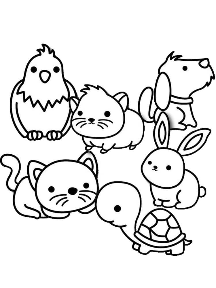 pets coloring pages