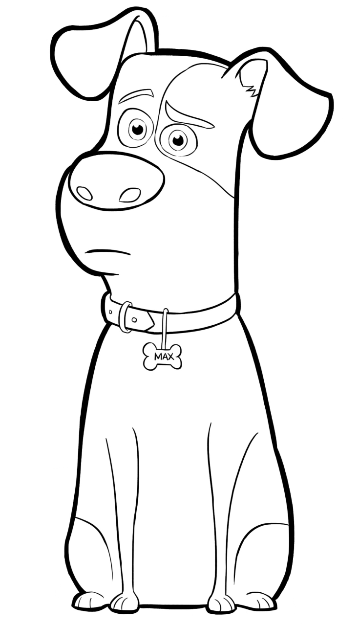 pets coloring pages