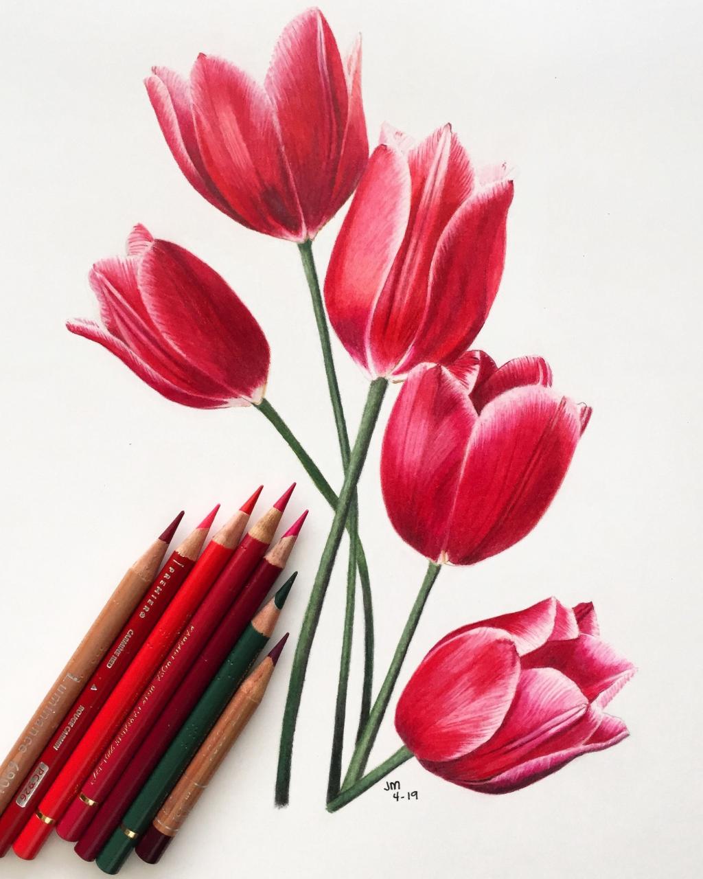 Unleash Your Inner Artist: A Beginner's Guide to Drawing with Colored Pencils