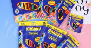 Let's Draw! Adventures with 24 Colored Pencils 🎨