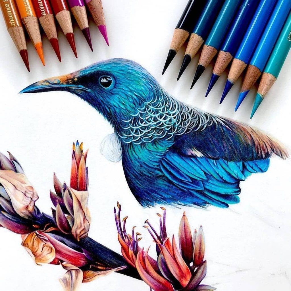 Unleashing Your Inner Artist: A Colorful Journey with 12 Colored Pencils