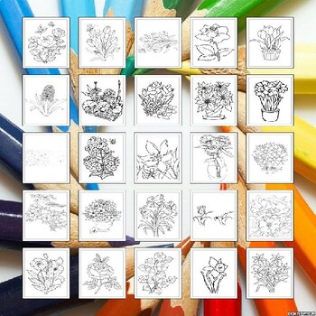 Unleash Your Inner Artist: Spring Coloring Pictures Free!