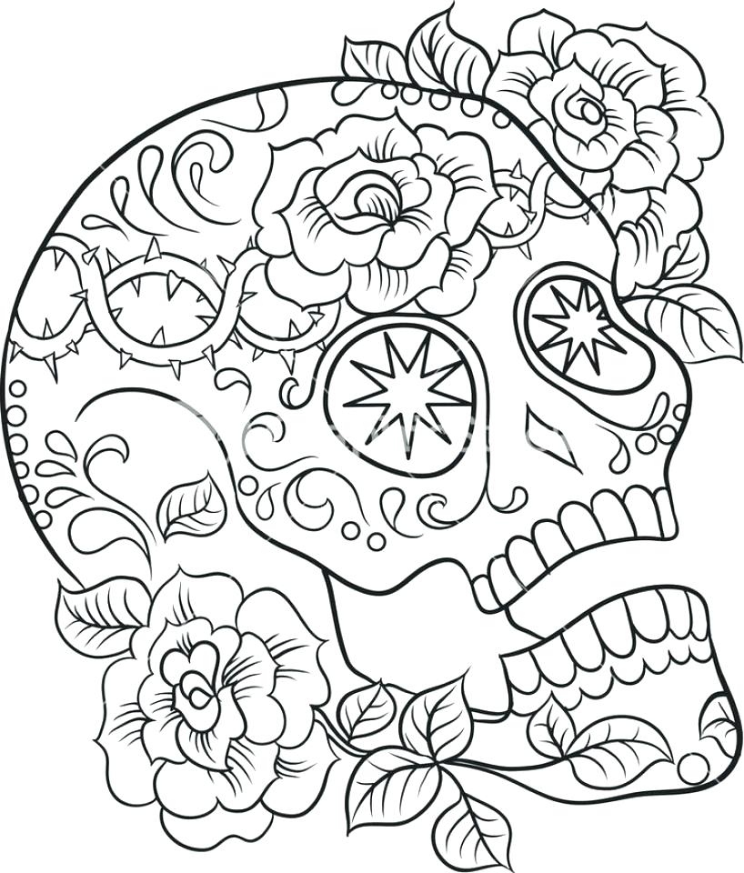 adult coloring skulls